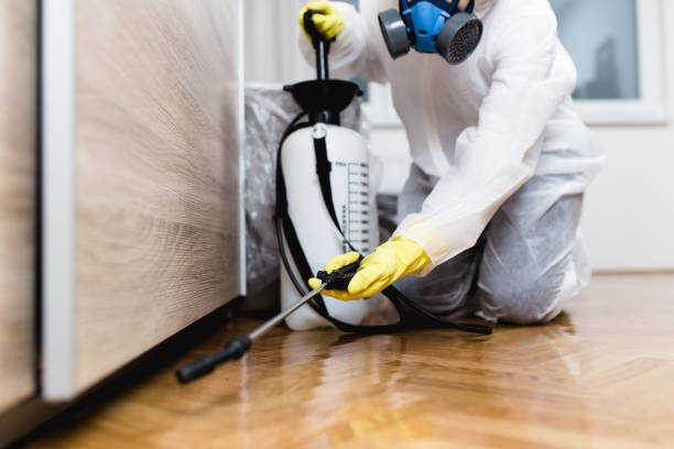 Best Wasp Removal Services  in Monsey, NY