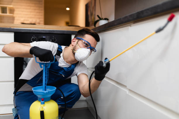Best Residential Pest Control  in Monsey, NY