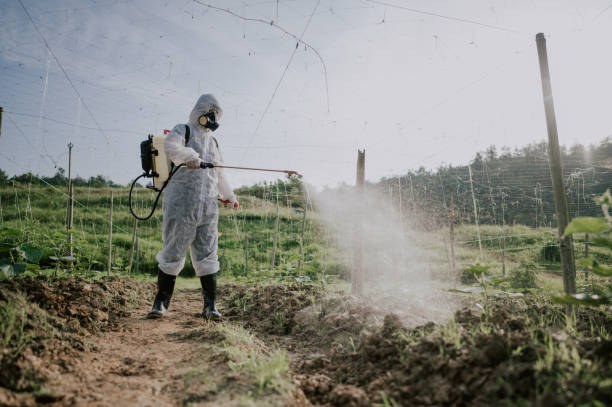 Best Affordable Pest Control Services  in Monsey, NY