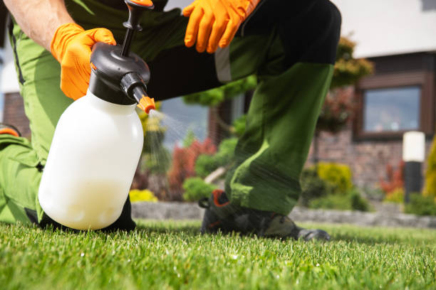 Best Local Pest Control Services  in Monsey, NY