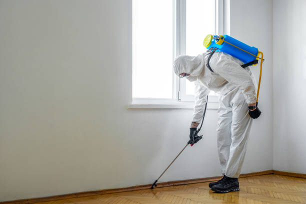 Best Termite Control Services  in Monsey, NY