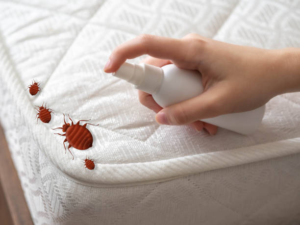 Best Emergency Pest Control  in Monsey, NY