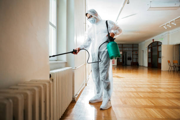 Best Rat Extermination Near Me  in Monsey, NY