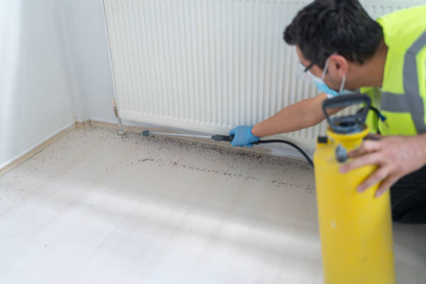 Trusted Monsey, NY Pest Control Experts