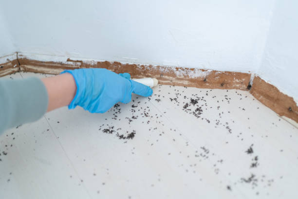 Best Pest Removal Services  in Monsey, NY