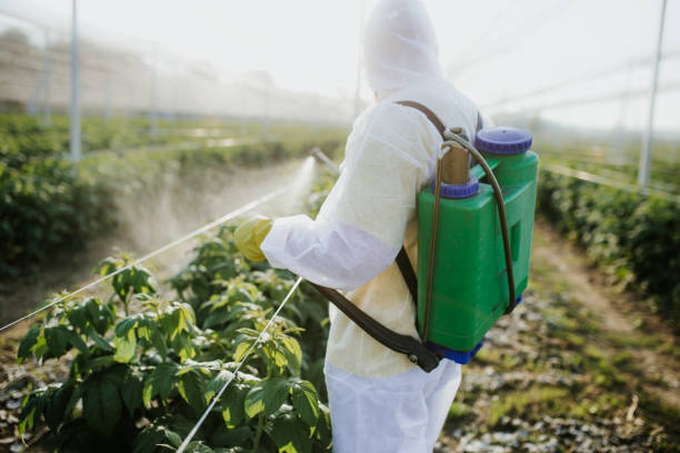Best Best Pest Control Companies  in Monsey, NY